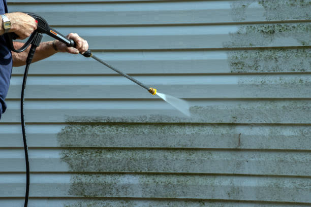 Best Driveway Pressure Washing  in Brazoria, TX