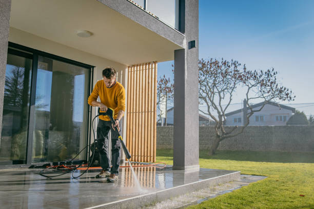 Best Fence Cleaning  in Brazoria, TX